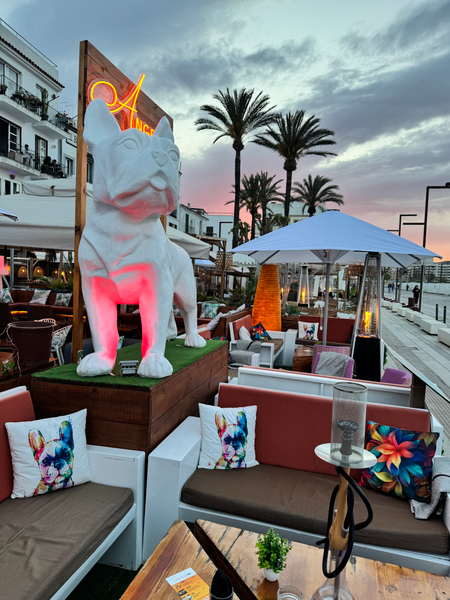 Cover photo of Angelo´s - Bar Ibiza